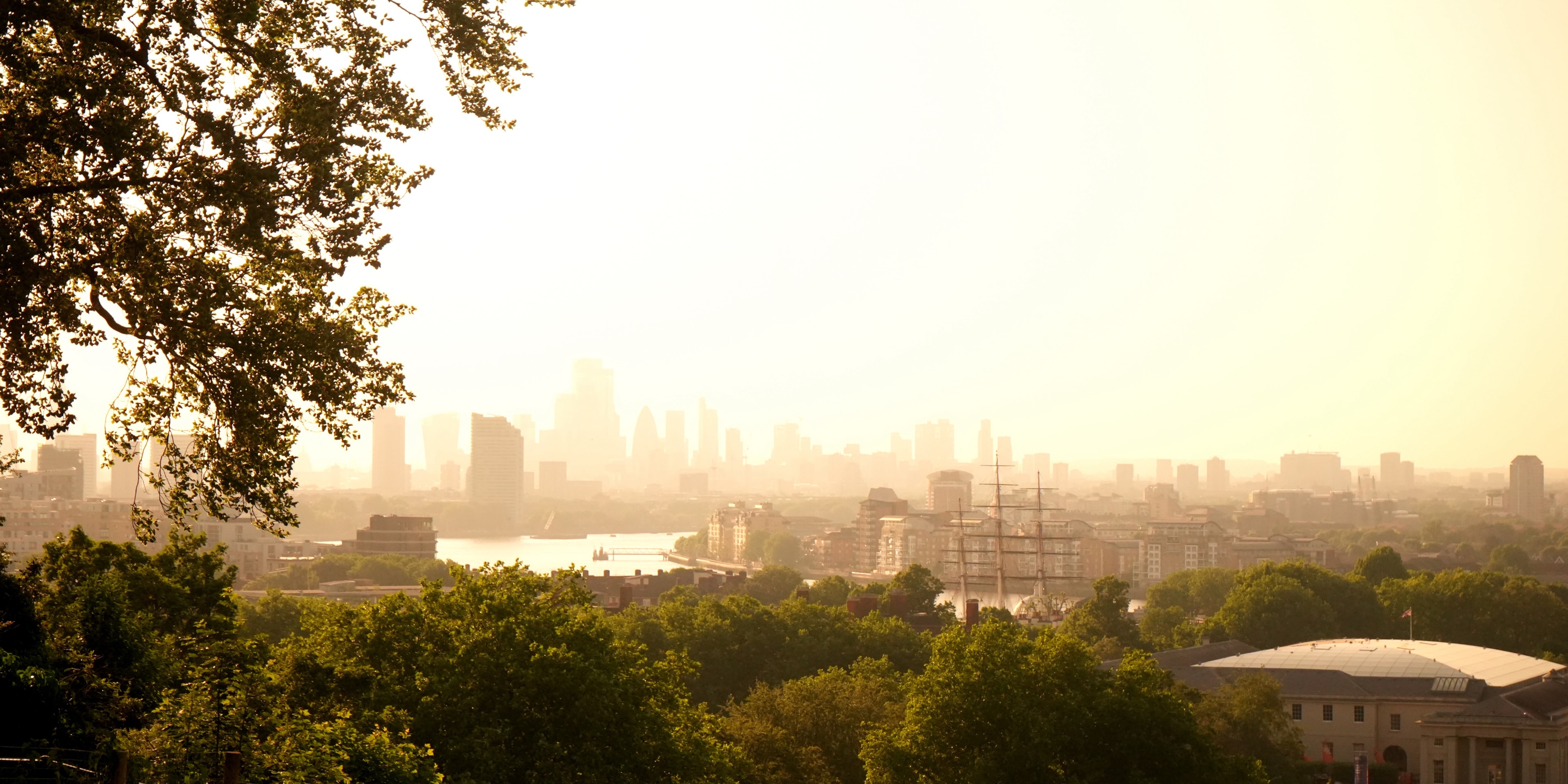 City skyline glowing through trees at sunrise photographed by Eugene Truuts